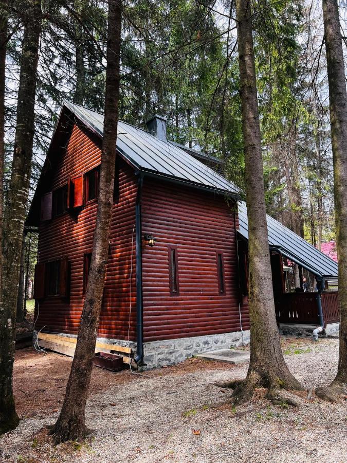 Cabana Adrienne Izvoru Muresului Luaran gambar