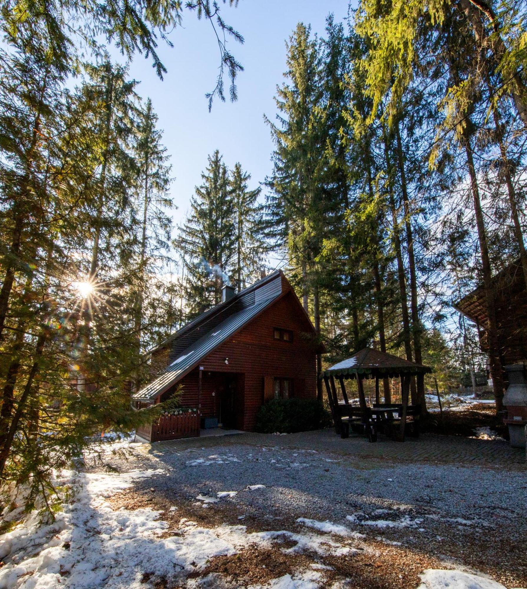 Cabana Adrienne Izvoru Muresului Luaran gambar